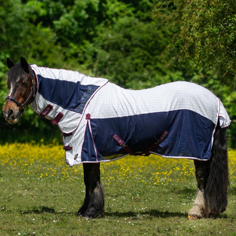 Gallop Air Mesh Detachable Neck Cooler in White and Navy